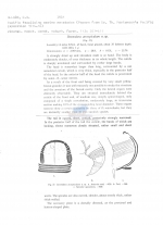 Desmodora (Croconema) acrospiculum