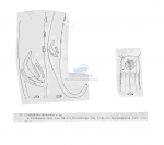Nematode file-library of the Marine Biology Section (Ghent University, Belgium)