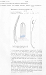 Nematode file-library of the Marine Biology Section (Ghent University, Belgium)