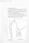 Nematode file-library of the Marine Biology Section (Ghent University, Belgium)