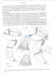 Nematode file-library of the Marine Biology Section (Ghent University, Belgium)