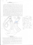 Nematode file-library of the Marine Biology Section (Ghent University, Belgium)