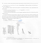 Nematode file-library of the Marine Biology Section (Ghent University, Belgium)