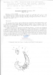 Nematode file-library of the Marine Biology Section (Ghent University, Belgium)
