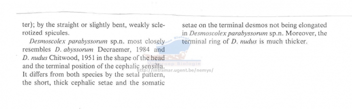 Desmoscolex parabyssorum