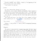 Nematode file-library of the Marine Biology Section (Ghent University, Belgium)