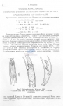 Nematode file-library of the Marine Biology Section (Ghent University, Belgium)