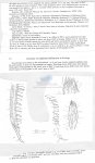Nematode file-library of the Marine Biology Section (Ghent University, Belgium)