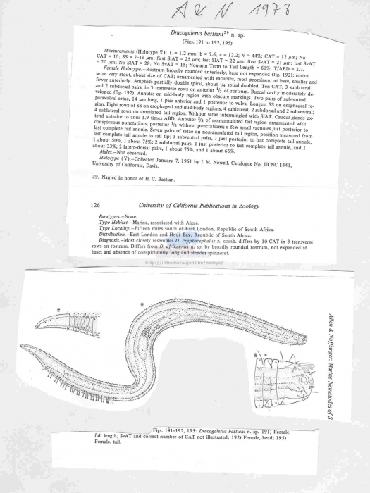 Dracogarelus bastiani