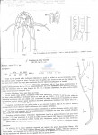 Nematode file-library of the Marine Biology Section (Ghent University, Belgium)