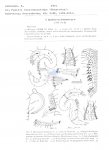 Nematode file-library of the Marine Biology Section (Ghent University, Belgium)