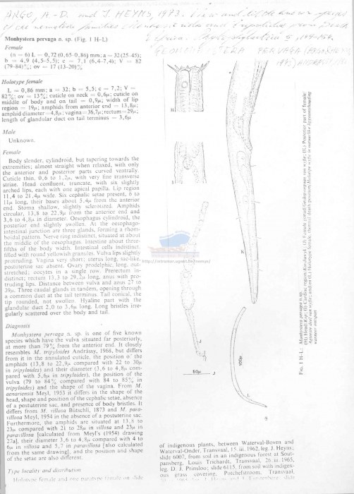 Geomonhystera pervaga