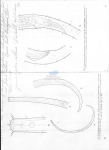 Nematode file-library of the Marine Biology Section (Ghent University, Belgium)