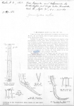 Geomonhystera villosa