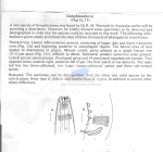 Nematode file-library of the Marine Biology Section (Ghent University, Belgium)