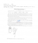 Nematode file-library of the Marine Biology Section (Ghent University, Belgium)