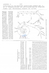 Nematode file-library of the Marine Biology Section (Ghent University, Belgium)