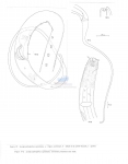 Longicyatholaimus capsulatus