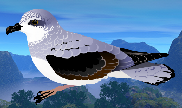 Soft-plumaged petrel Soft-plumaged petrel