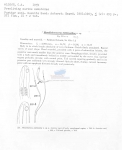 Metalinhomoeus falklandiae