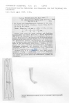 Nematode file-library of the Marine Biology Section (Ghent University, Belgium)