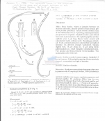 Monhystera anoxybiotica