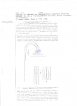 Nematode file-library of the Marine Biology Section (Ghent University, Belgium)