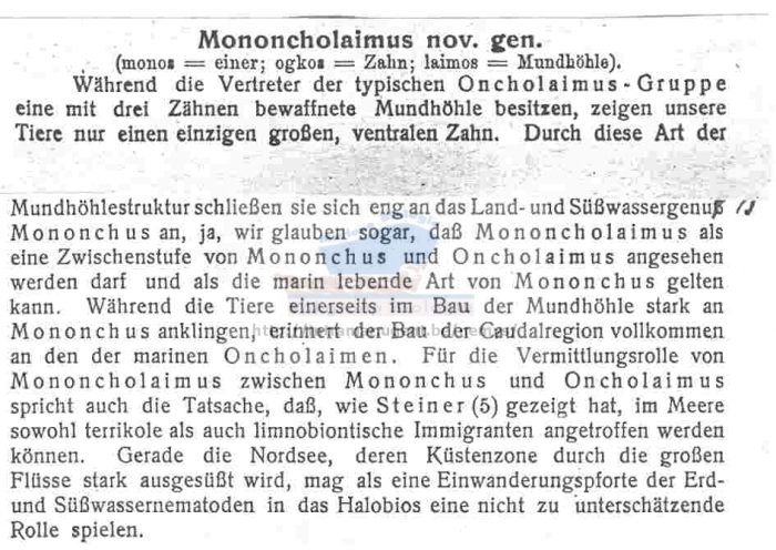 Mononcholaimus