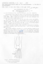 Omicronema truncatum