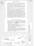 Nematode file-library of the Marine Biology Section (Ghent University, Belgium)