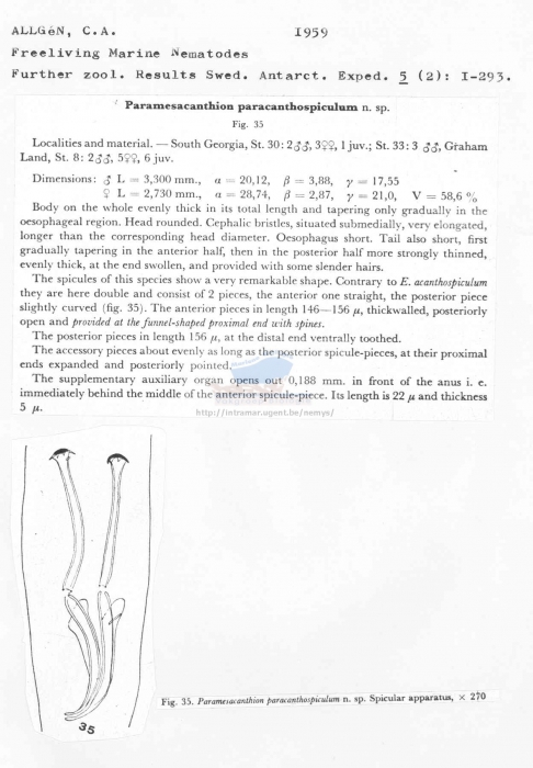 Paramesacanthion paracanthospiculum