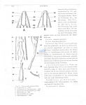 Pelagonemella javaense