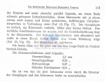 Nematode file-library of the Marine Biology Section (Ghent University, Belgium)
