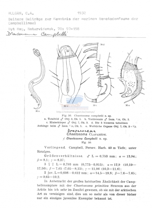 Prochaetosoma campbelli