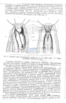 Nematode file-library of the Marine Biology Section (Ghent University, Belgium)