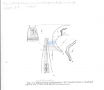 Nematode file-library of the Marine Biology Section (Ghent University, Belgium)