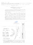 Nematode file-library of the Marine Biology Section (Ghent University, Belgium)