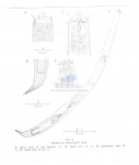 Richtersia deconincki