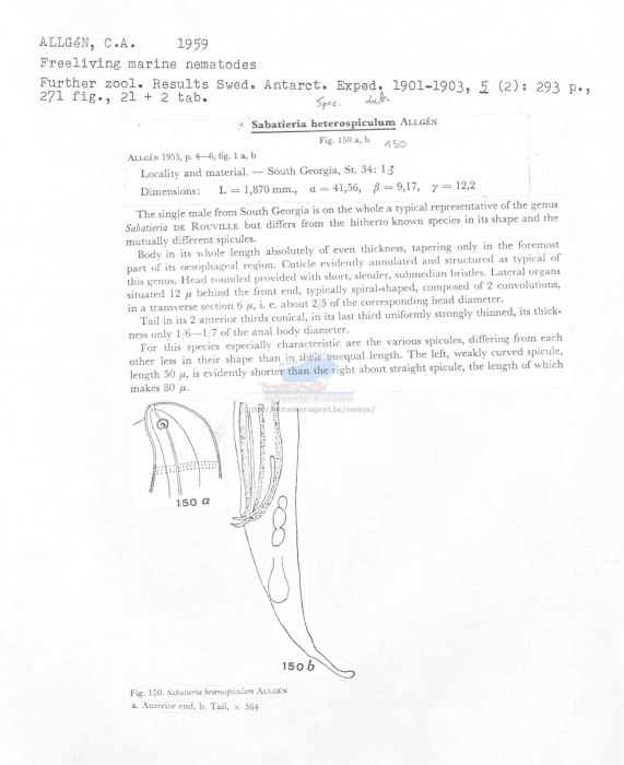 Sabatieria heterospiculum