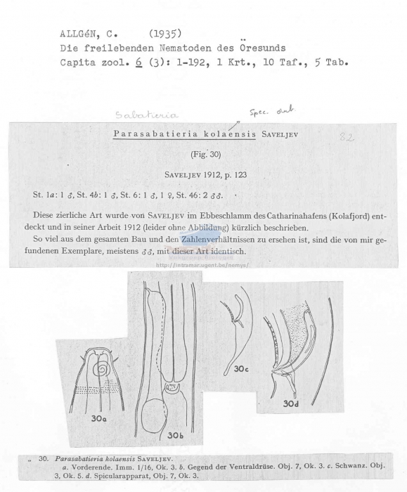 Sabatieria kolaensis