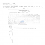 Nematode file-library of the Marine Biology Section (Ghent University, Belgium)
