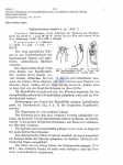 Nematode file-library of the Marine Biology Section (Ghent University, Belgium)