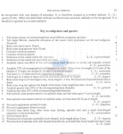 Nematode file-library of the Marine Biology Section (Ghent University, Belgium)