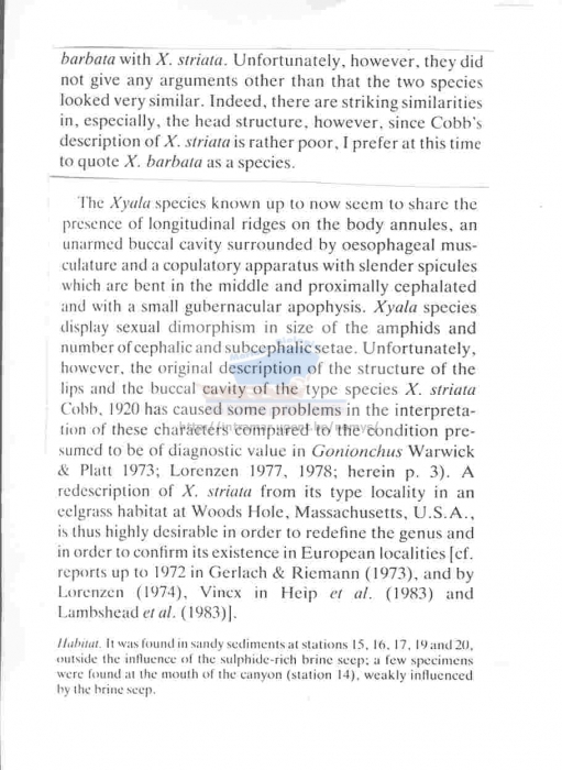 Xyala oxybiotica Xyala oxybiotica