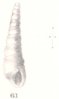 Rissoina baculumpastoris Melvill & Standen, 1896