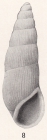Rissoina coronadensis Bartsch, 1915