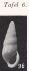 Rissoina (Zebina) neriniformis Boettger, 1901